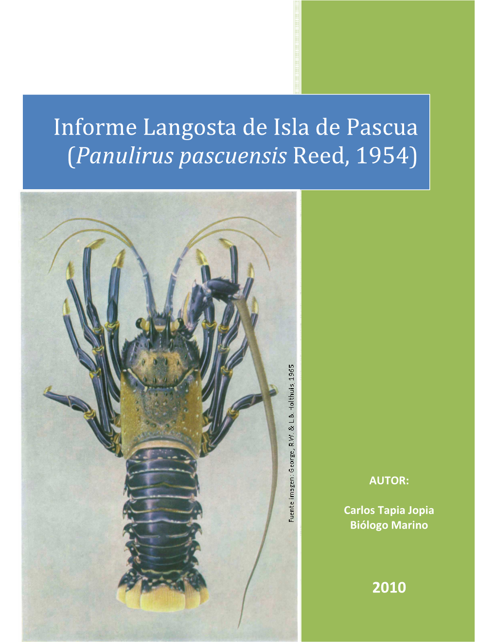 Informe Langosta De Isla De Pascua (Panulirus Pascuensis Reed, 1954)
