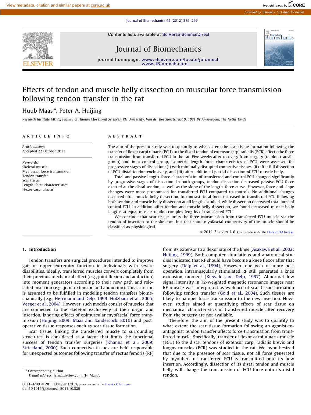 Effects of Tendon and Muscle Belly Dissection on Muscular Force Transmission Following Tendon Transfer in the Rat