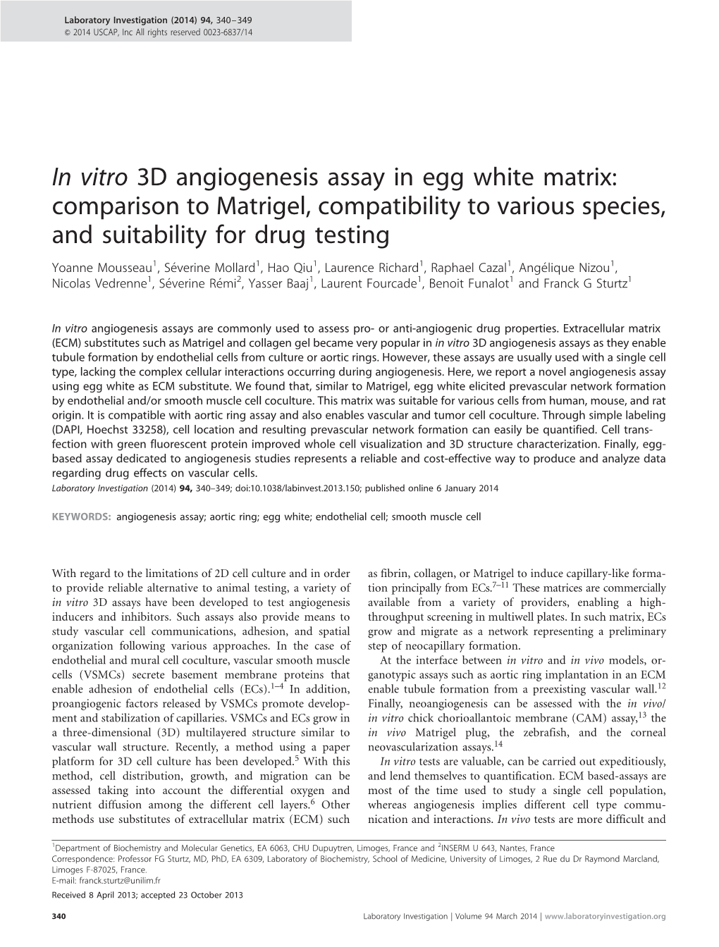 In Vitro 3D Angiogenesis Assay in Egg White Matrix