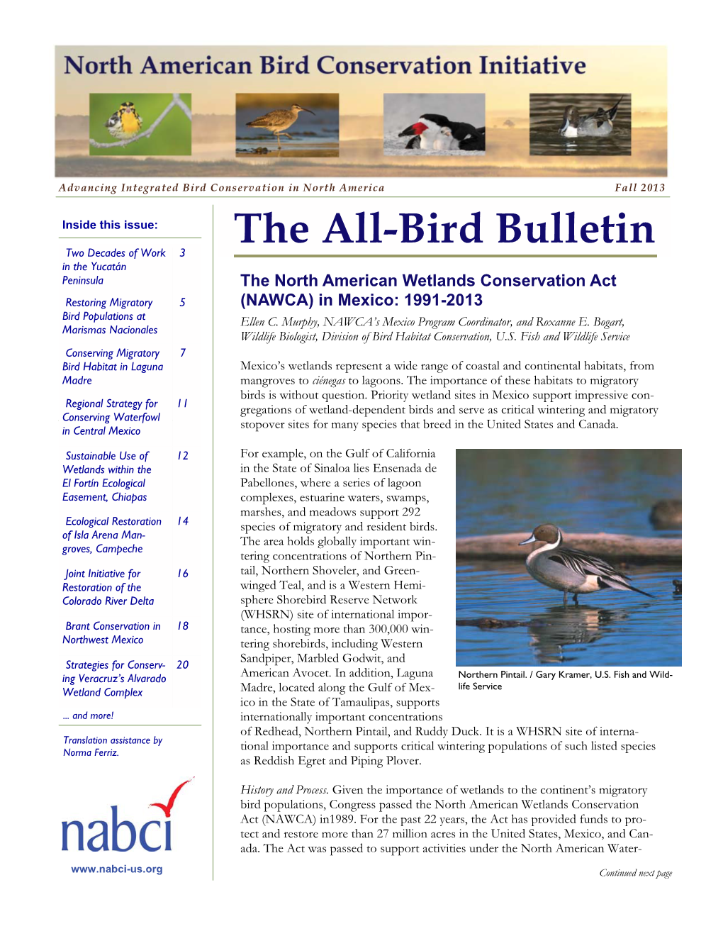 The All-Bird Bulletin