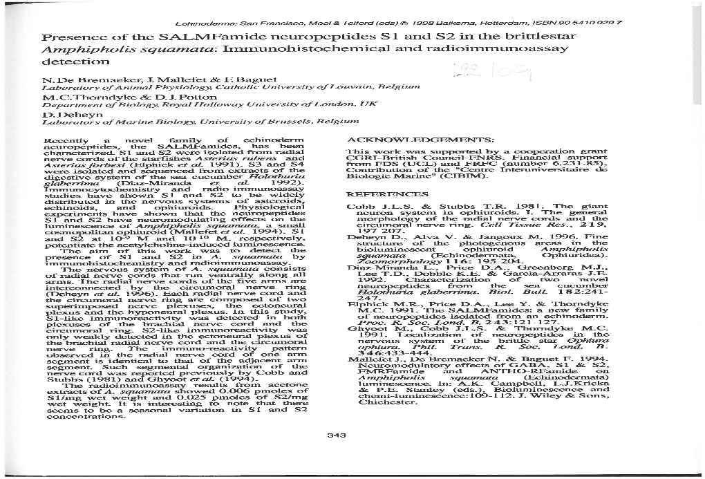 Amphipholis Squamata: Immunohistochemical and Radioimmunoassay