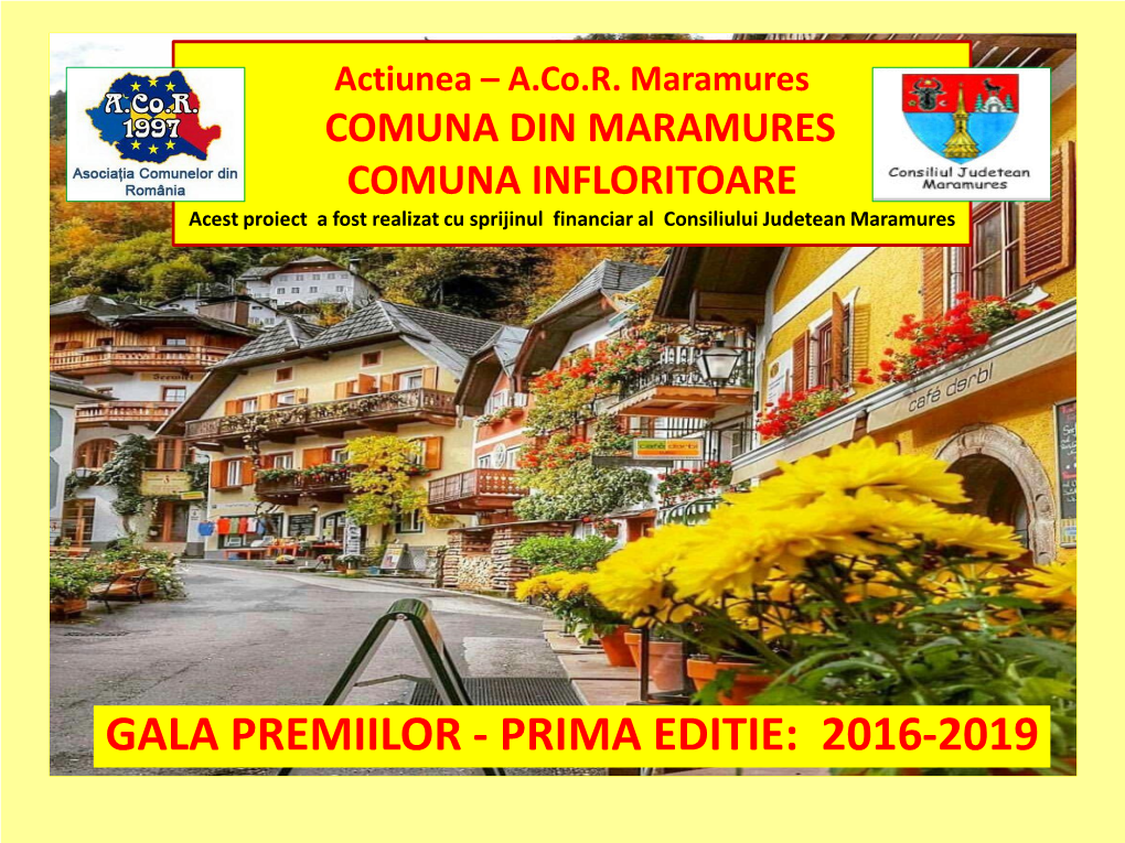 Sinteza Actiunii Comuna Din Maramures Comuna Infloritoatre