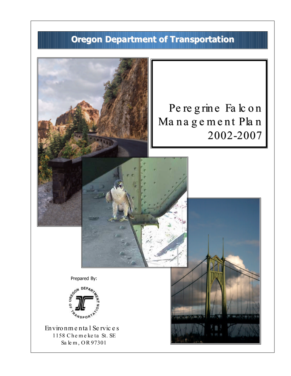 Peregrine Falcon Management Plan 2002-2007