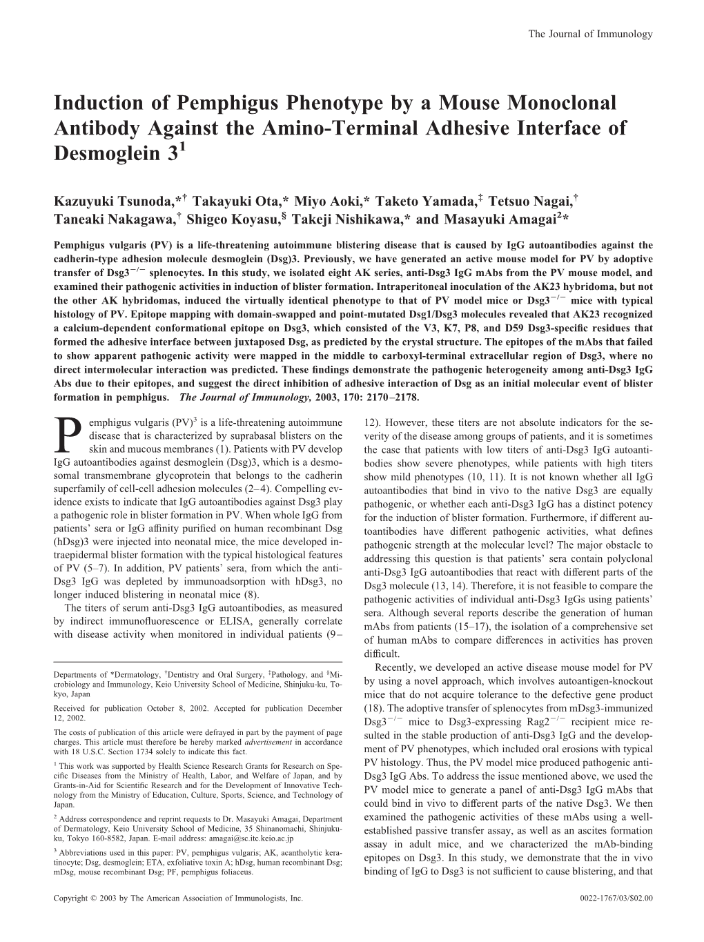 Desmoglein 3 Amino-Terminal Adhesive Interface of Mouse