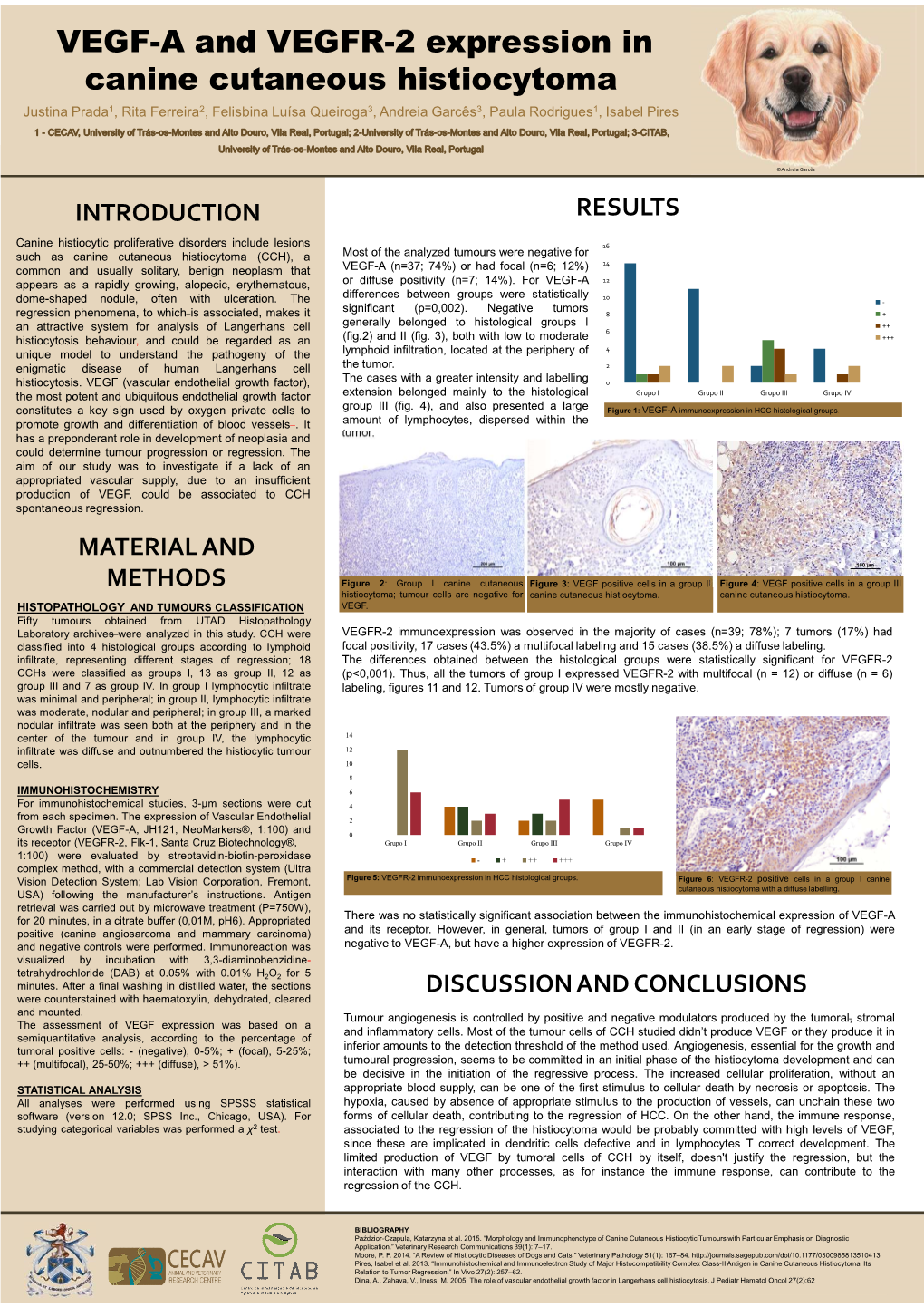 VEGF-A and VEGFR-2 Expression in Canine Cutaneous Histiocytoma