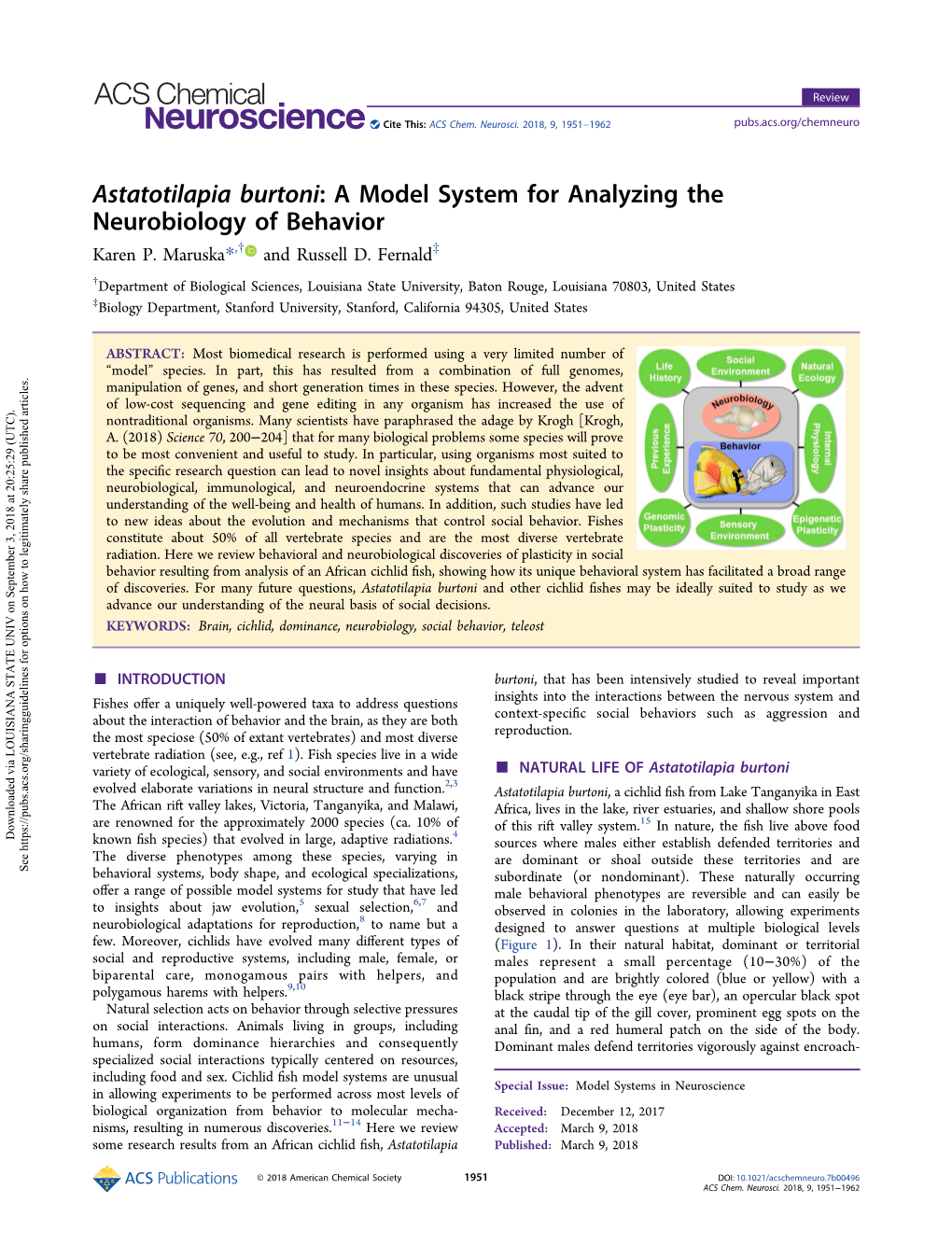 Astatotilapia Burtoni: a Model System for Analyzing the Neurobiology of Behavior Karen P