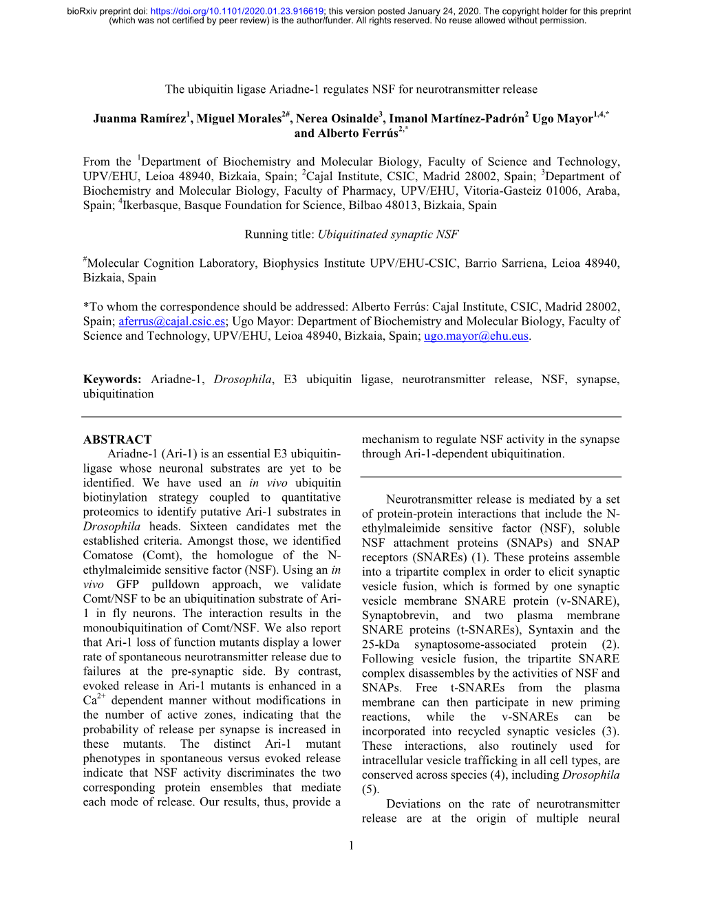 The Ubiquitin Ligase Ariadne-1 Regulates NSF for Neurotransmitter Release