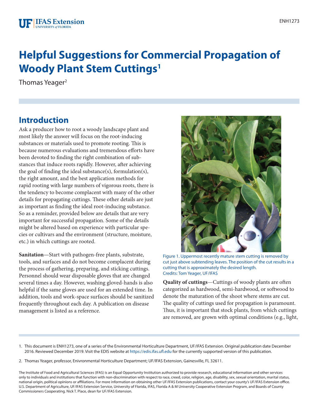 Helpful Suggestions for Commercial Propagation of Woody Plant Stem Cuttings1 Thomas Yeager2