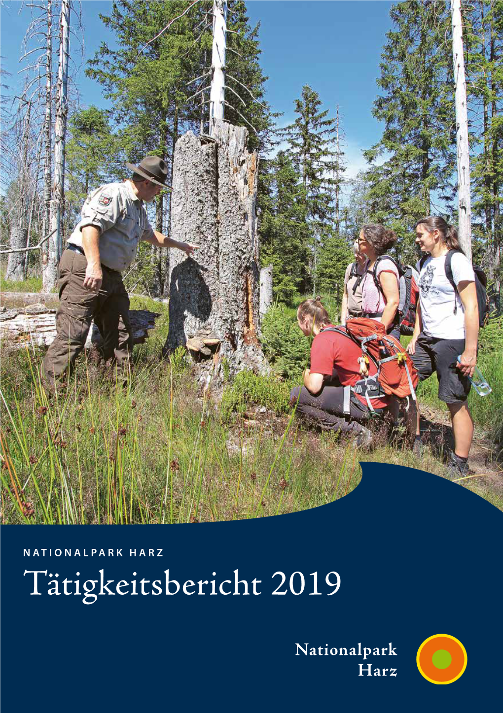 Tätigkeitsbericht 2019