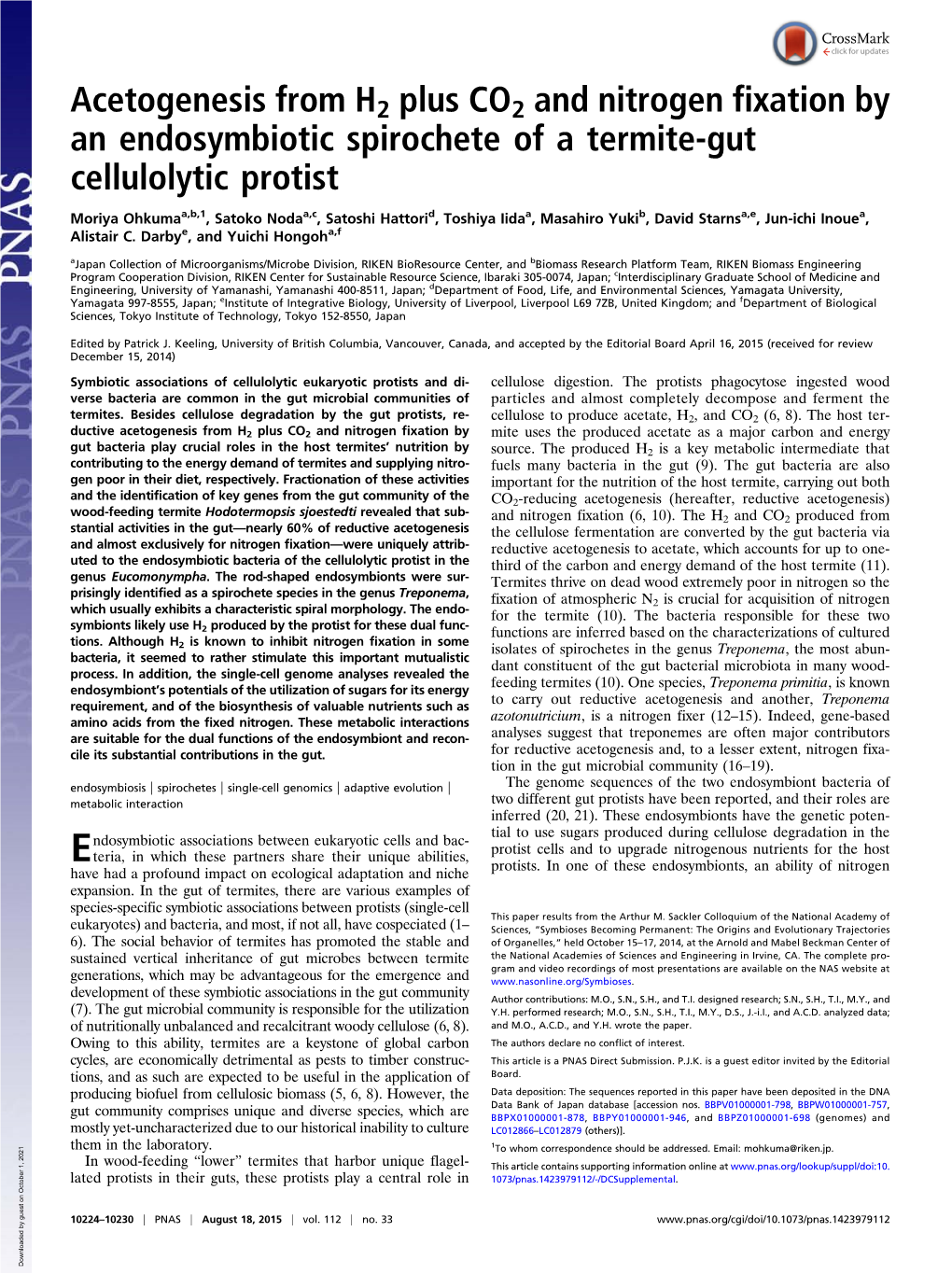 Acetogenesis from H2 Plus CO2 and Nitrogen Fixation by an Endosymbiotic Spirochete of a Termite-Gut Cellulolytic Protist