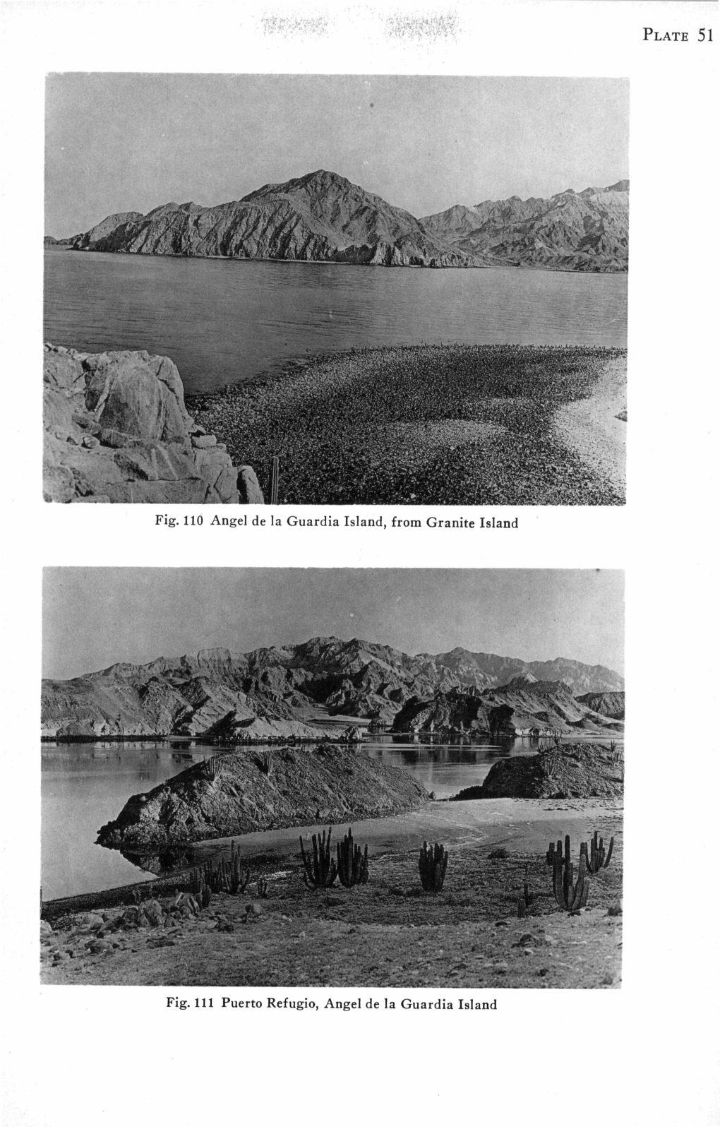 PLATE 52 Fig. 112 Puerto Refugio, Angel De La Guardia Island, Looking