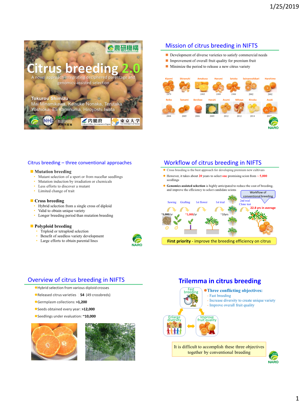 Citrus Breeding