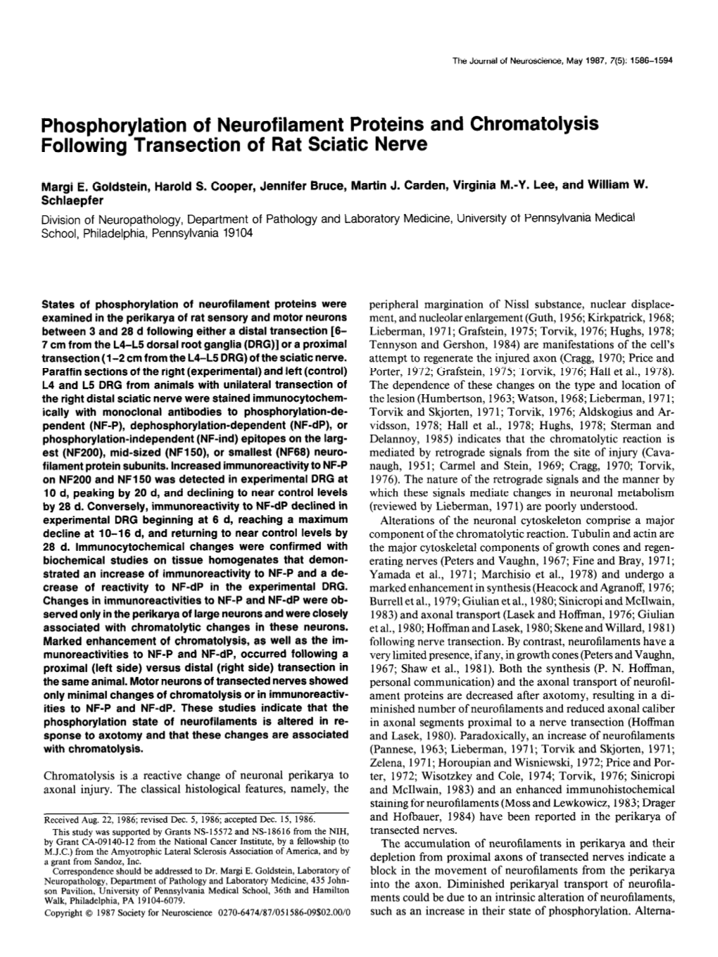 Phosphorylation of Neurofilament Proteins and Chromatolysis Following Transection of Rat Sciatic Nerve