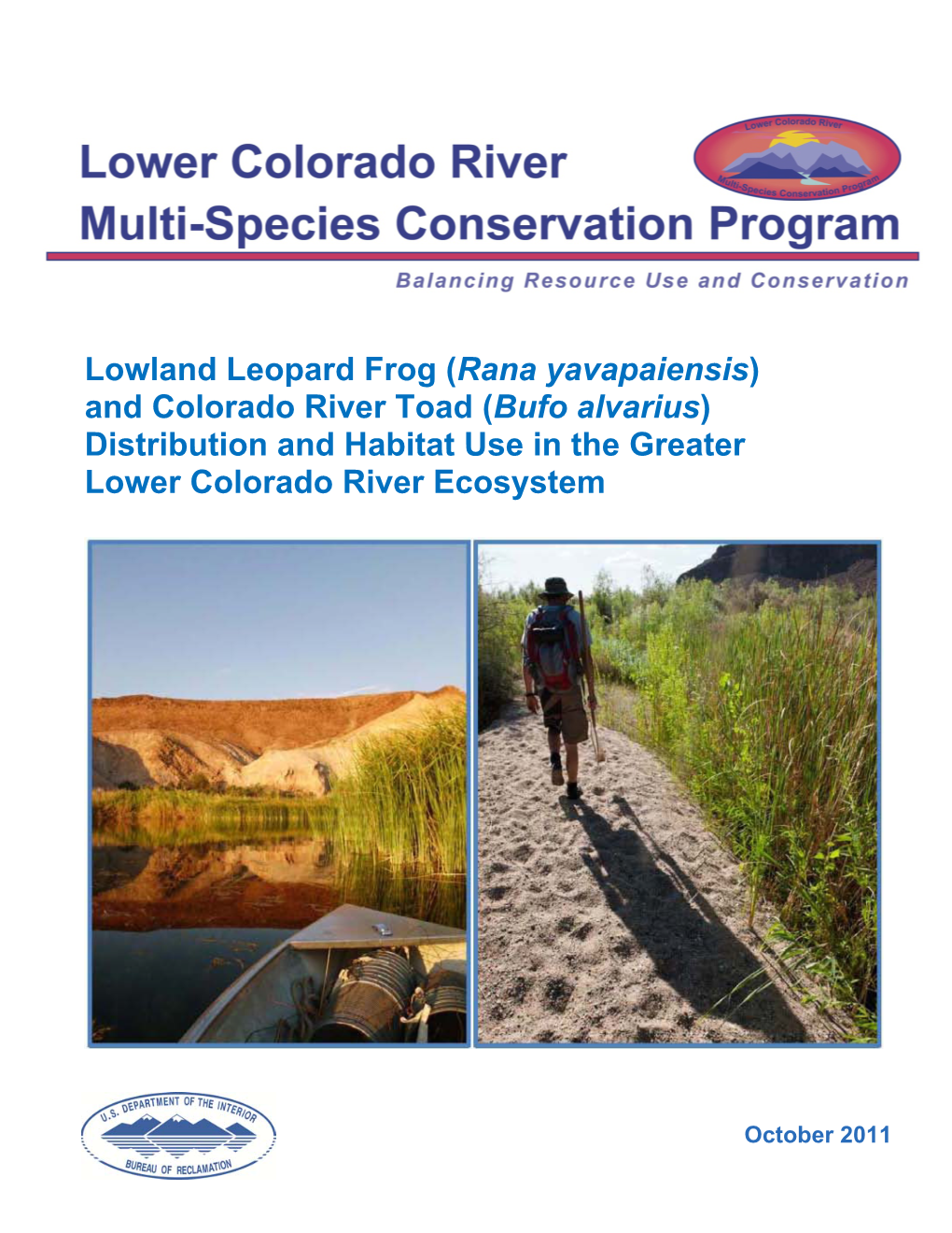 Lowland Leopard Frog (Rana Yavapaiensis) and Colorado River Toad (Bufo Alvarius) Distribution and Habitat Use in the Greater Lower Colorado River Ecosystem