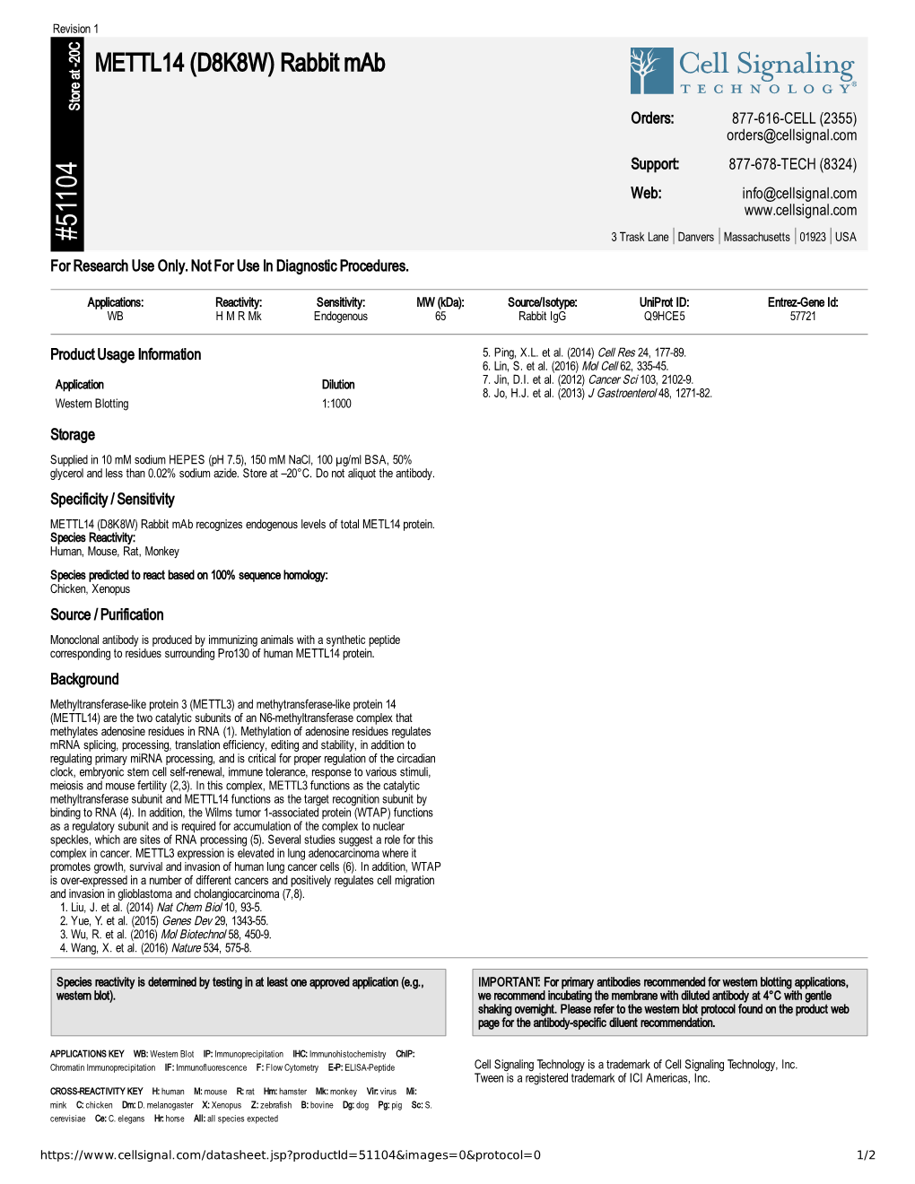 51104 METTL14 (D8K8W) Rabbit Mab