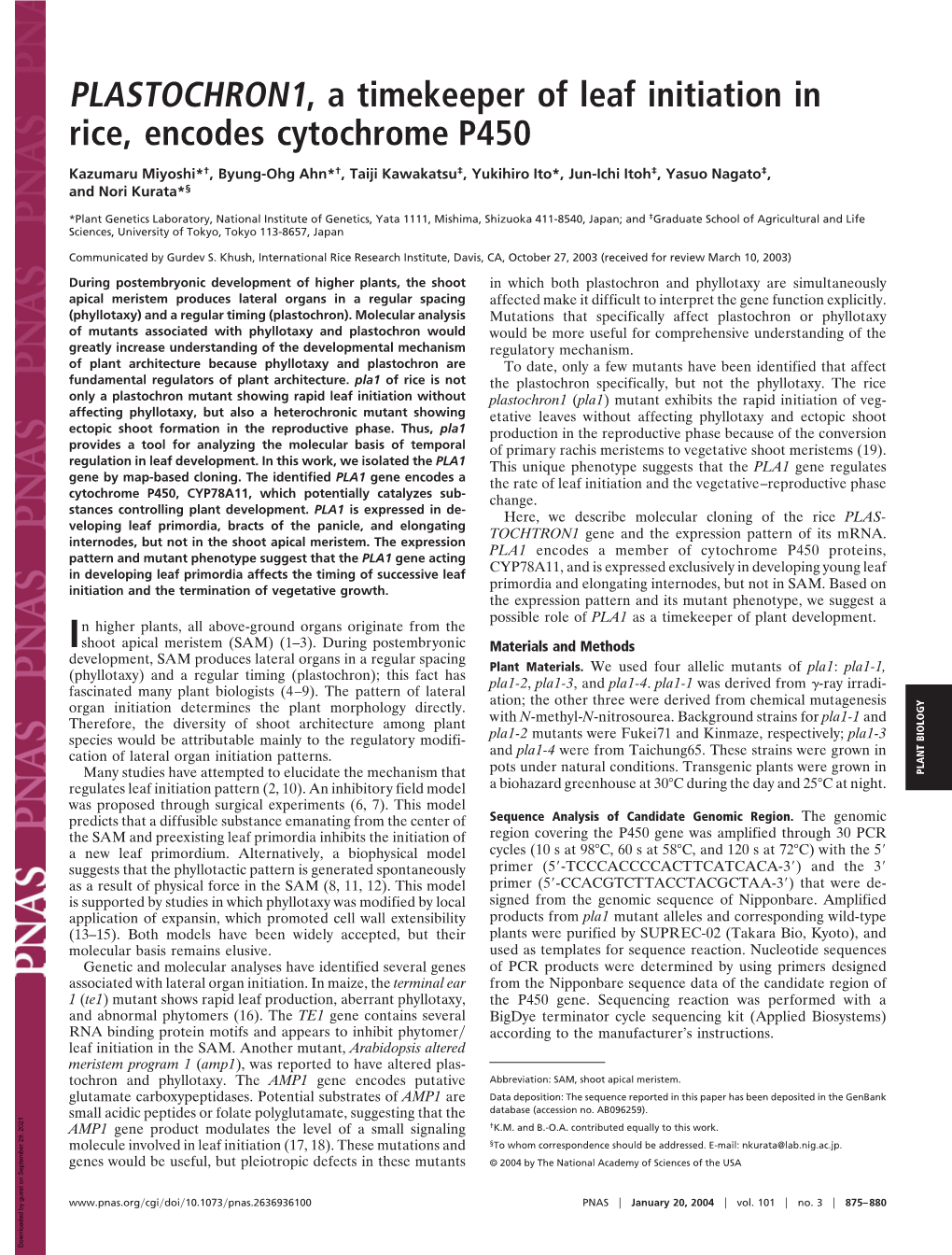 PLASTOCHRON1, a Timekeeper of Leaf Initiation in Rice, Encodes Cytochrome P450