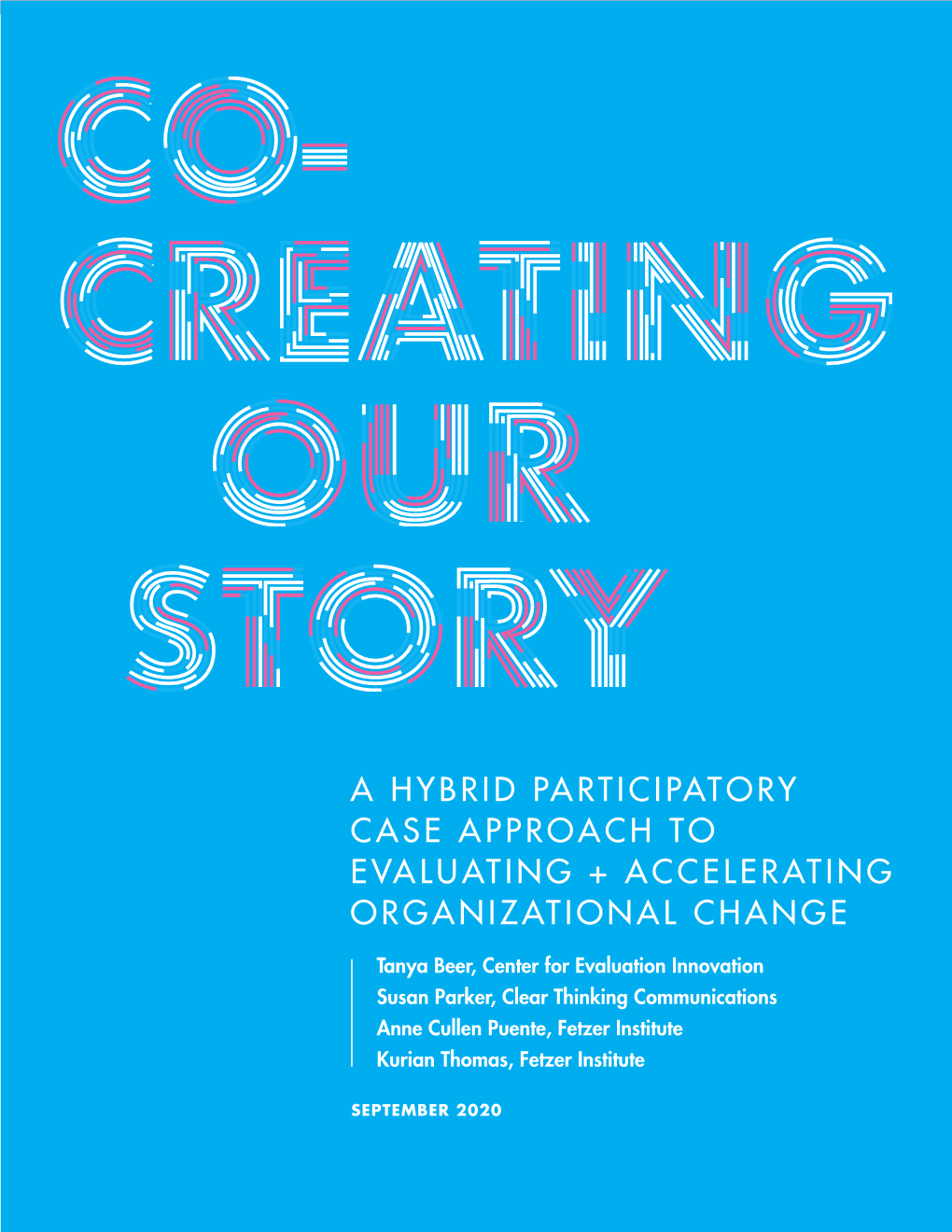 A Hybrid Participatory Case Approach to Evaluating +