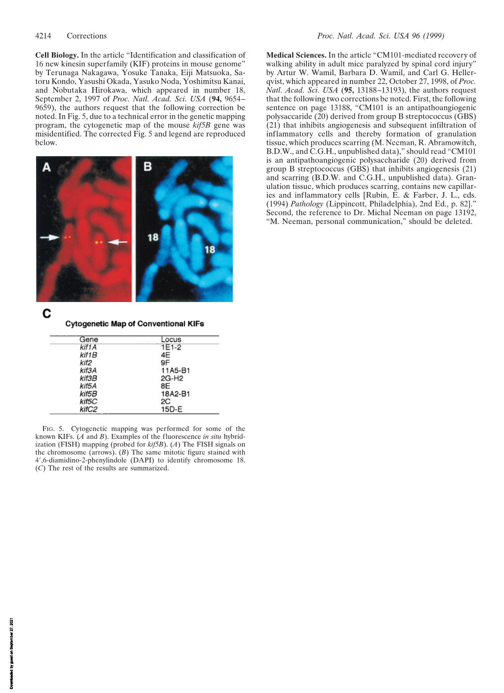 Identification and Classification of 16 New Kinesin Superfamily (KIF) Proteins in Mouse Genome