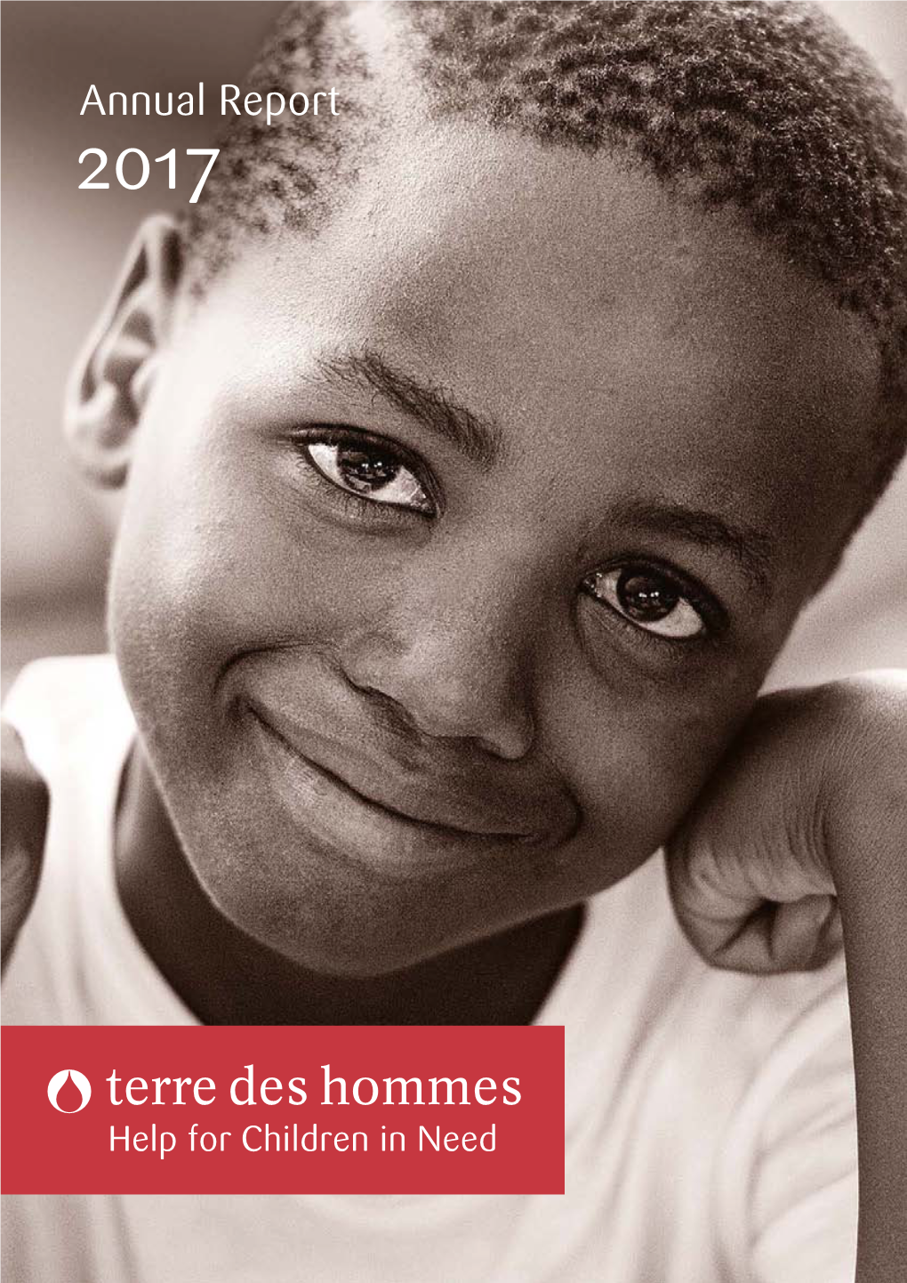 Terre Des Hommes – Annual Report 2017