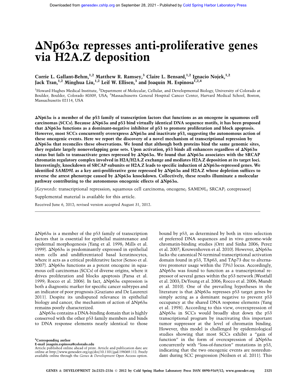 Dnp63a Represses Anti-Proliferative Genes Via H2A.Z Deposition