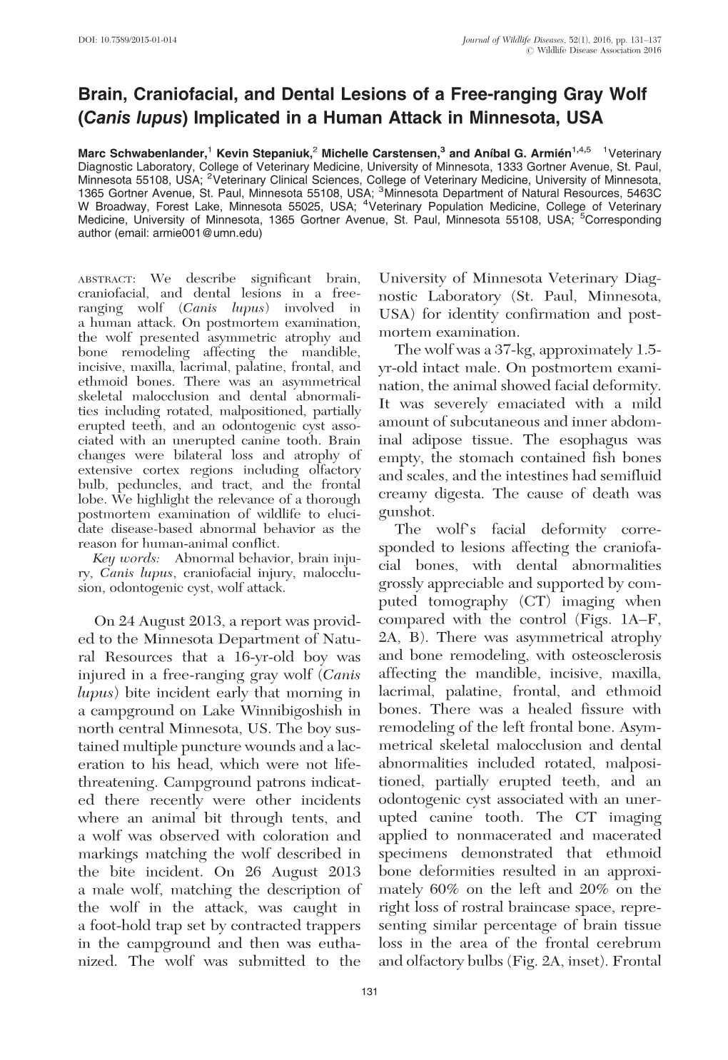 Brain, Craniofacial, and Dental Lesions of a Free-Ranging Gray Wolf (Canis Lupus) Implicated in a Human Attack in Minnesota, USA