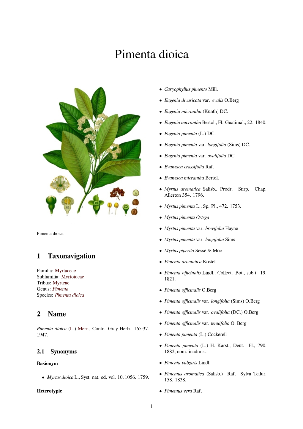 Pimenta Dioica