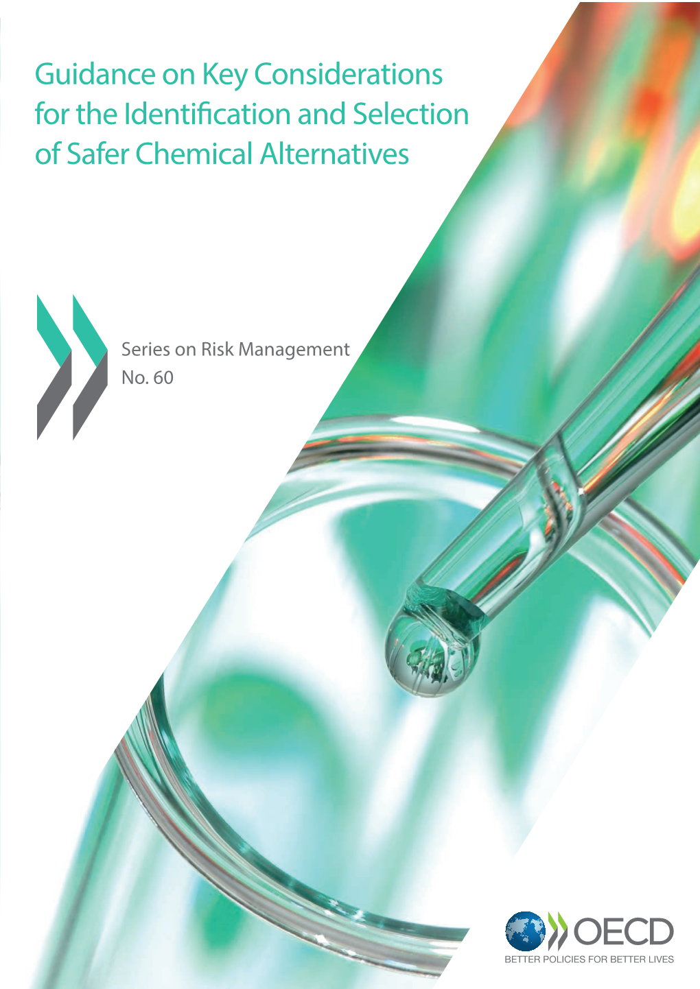 Guidance on Key Considerations for the Identification and Selection of Safer Chemical Alternatives