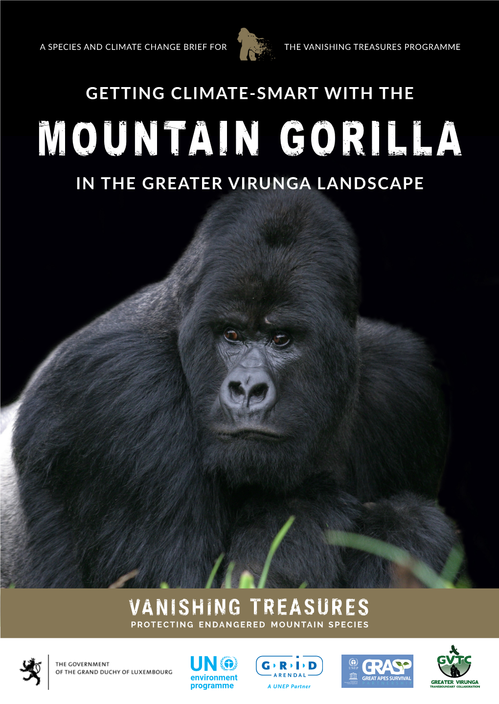 Getting Climate-Smart with the Mountain Gorilla in the Greater Virunga Landscape: a Species and Climate Change Brief for the Vanishing Treasures Programme