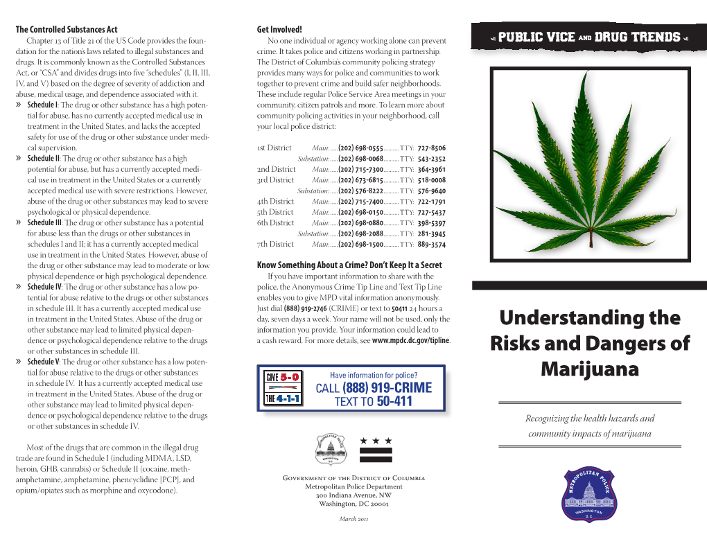 Understanding the Risks and Dangers of Marijuana