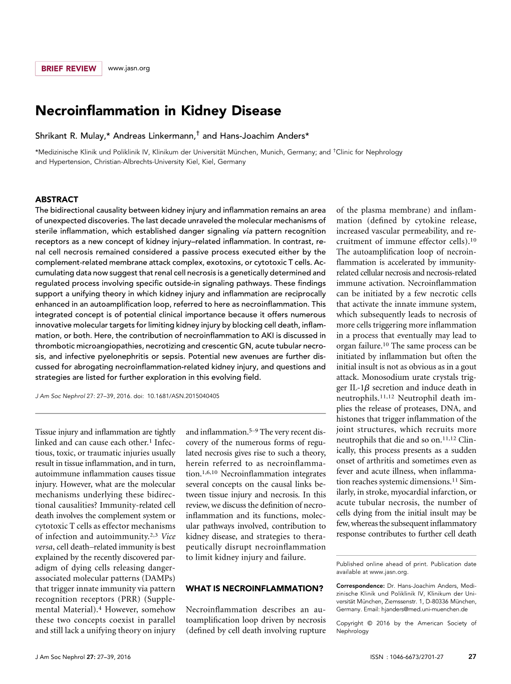 Necroinflammation in Kidney Disease