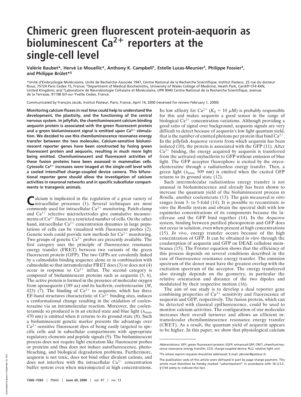 Chimeric Green Fluorescent Protein-Aequorin As Bioluminescent Ca2؉ Reporters at the Single-Cell Level