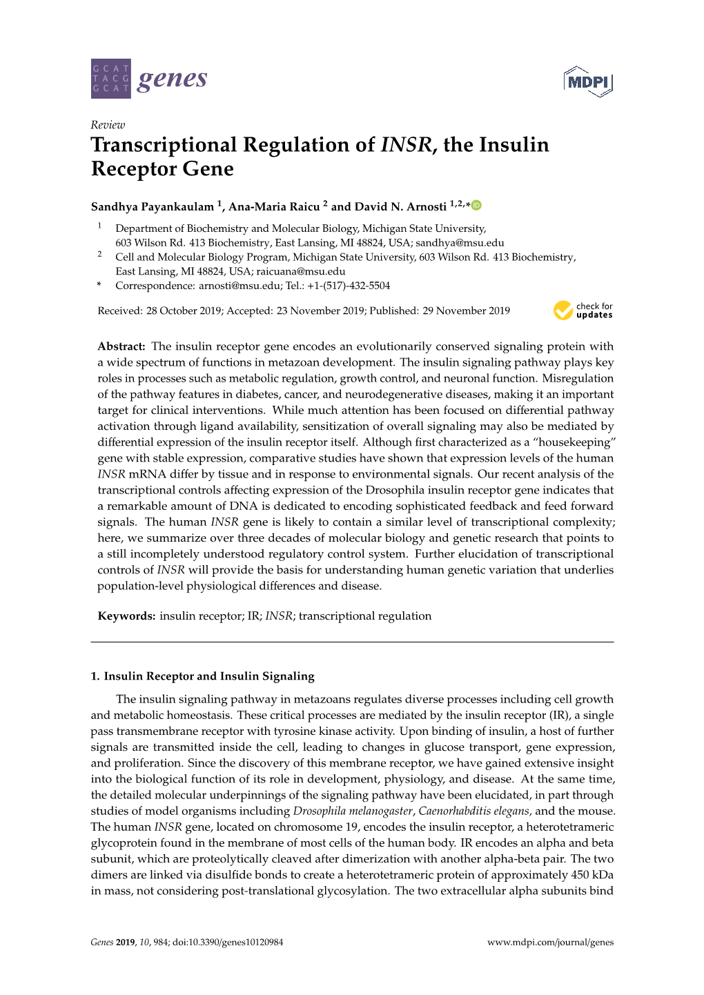 Transcriptional Regulation of INSR, the Insulin Receptor Gene