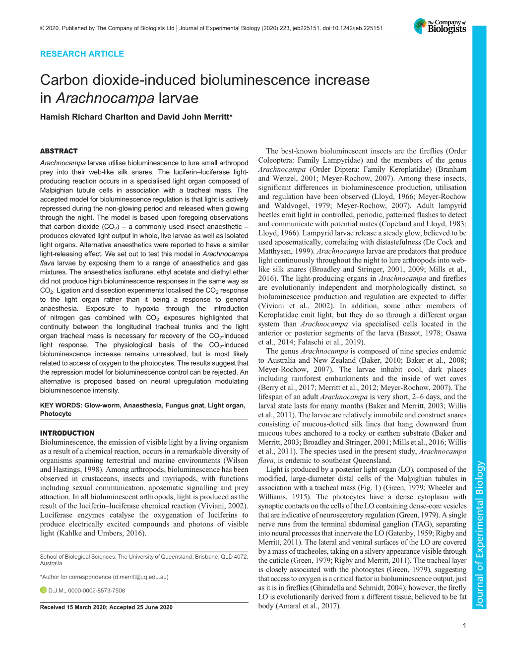 Carbon Dioxide-Induced Bioluminescence Increase in Arachnocampa Larvae Hamish Richard Charlton and David John Merritt*