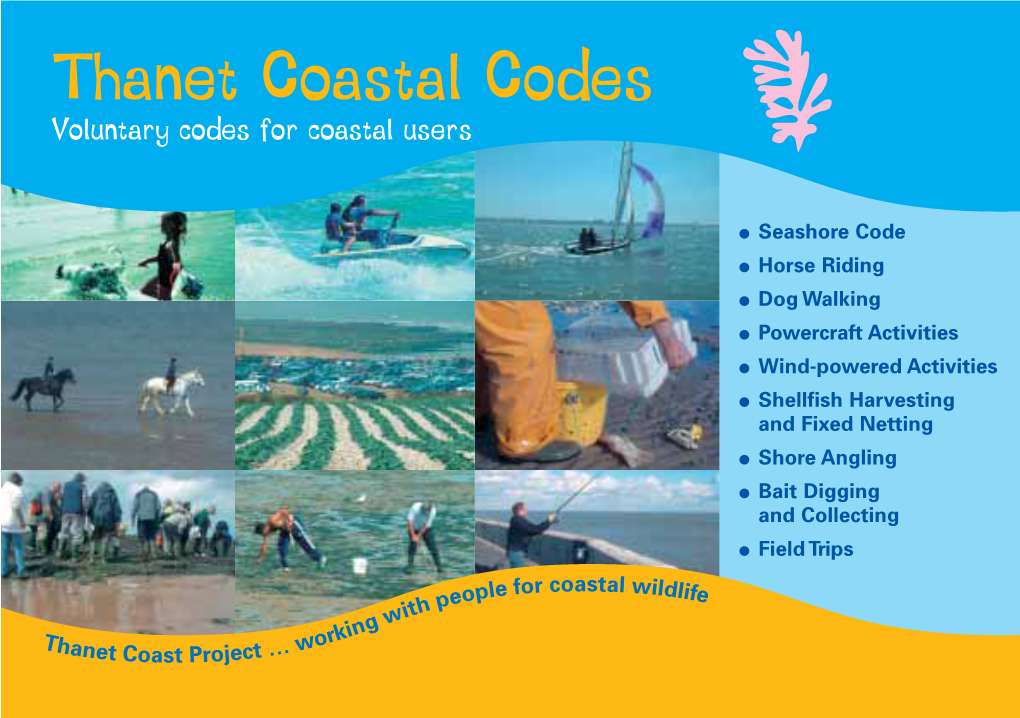 Thanet Coastal Codes Rough