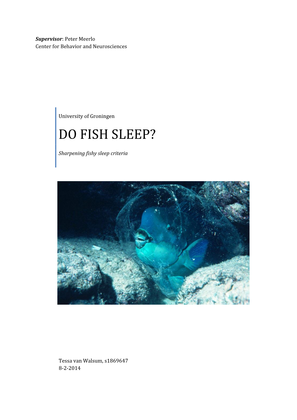 Do Fish Sleep?