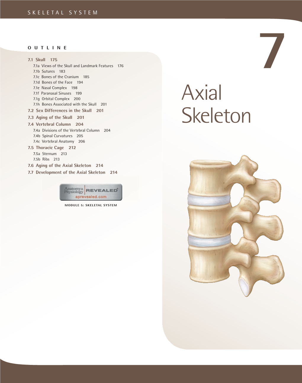 Axial Skeleton 214 7.7 Development of the Axial Skeleton 214