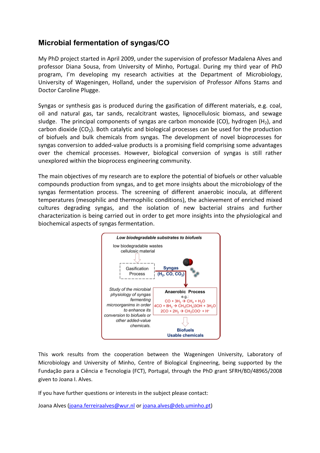 Microbial Fermentation of Syngas/CO