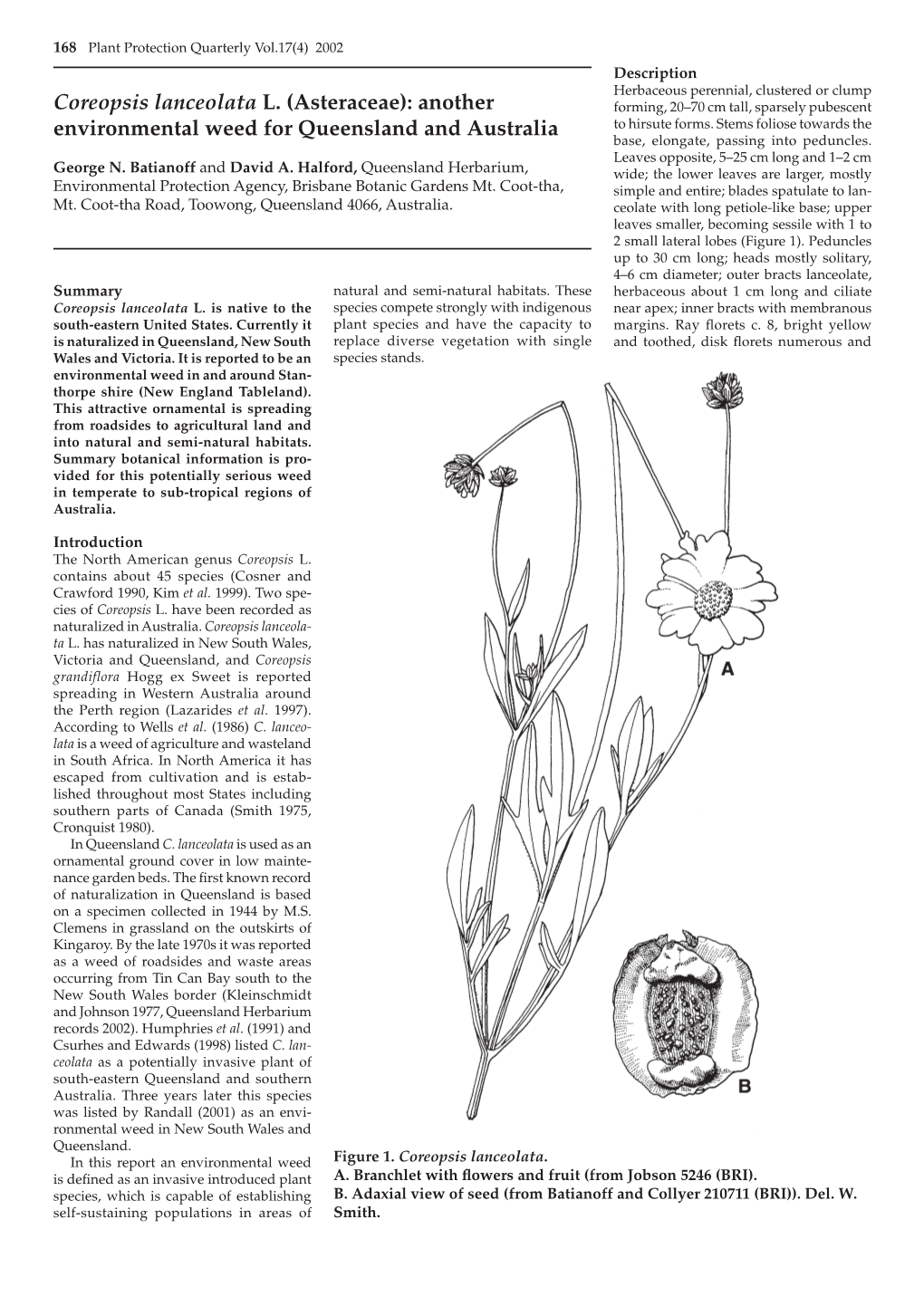 Coreopsis Lanceolata L. (Asteraceae): Another Forming, 20–70 Cm Tall, Sparsely Pubescent Environmental Weed for Queensland and Australia to Hirsute Forms