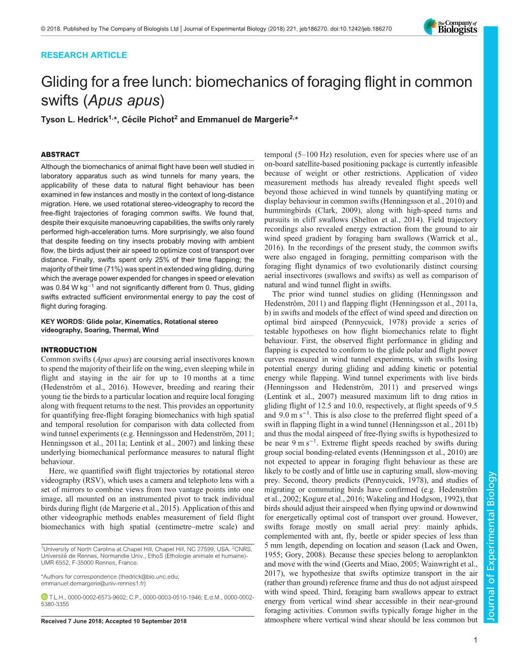 Gliding for a Free Lunch: Biomechanics of Foraging Flight in Common Swifts (Apus Apus) Tyson L