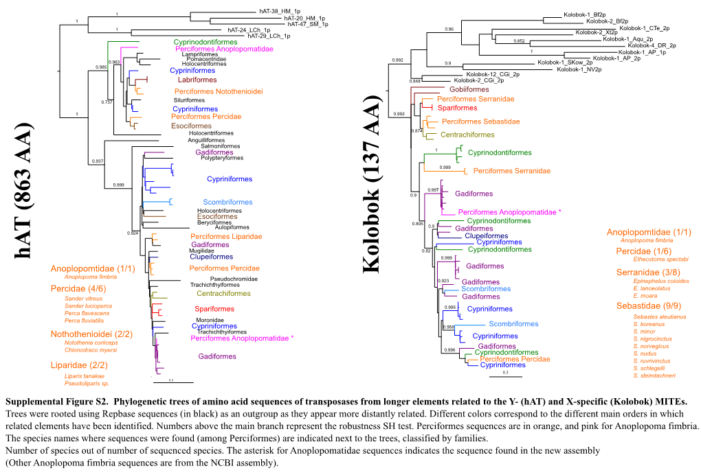 Supplemental Fig S2.Pdf