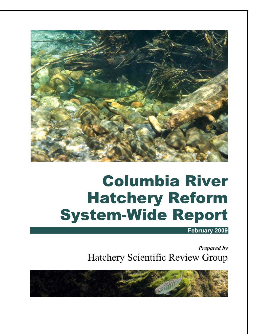 Columbia River Hatchery Reform System-Wide Report