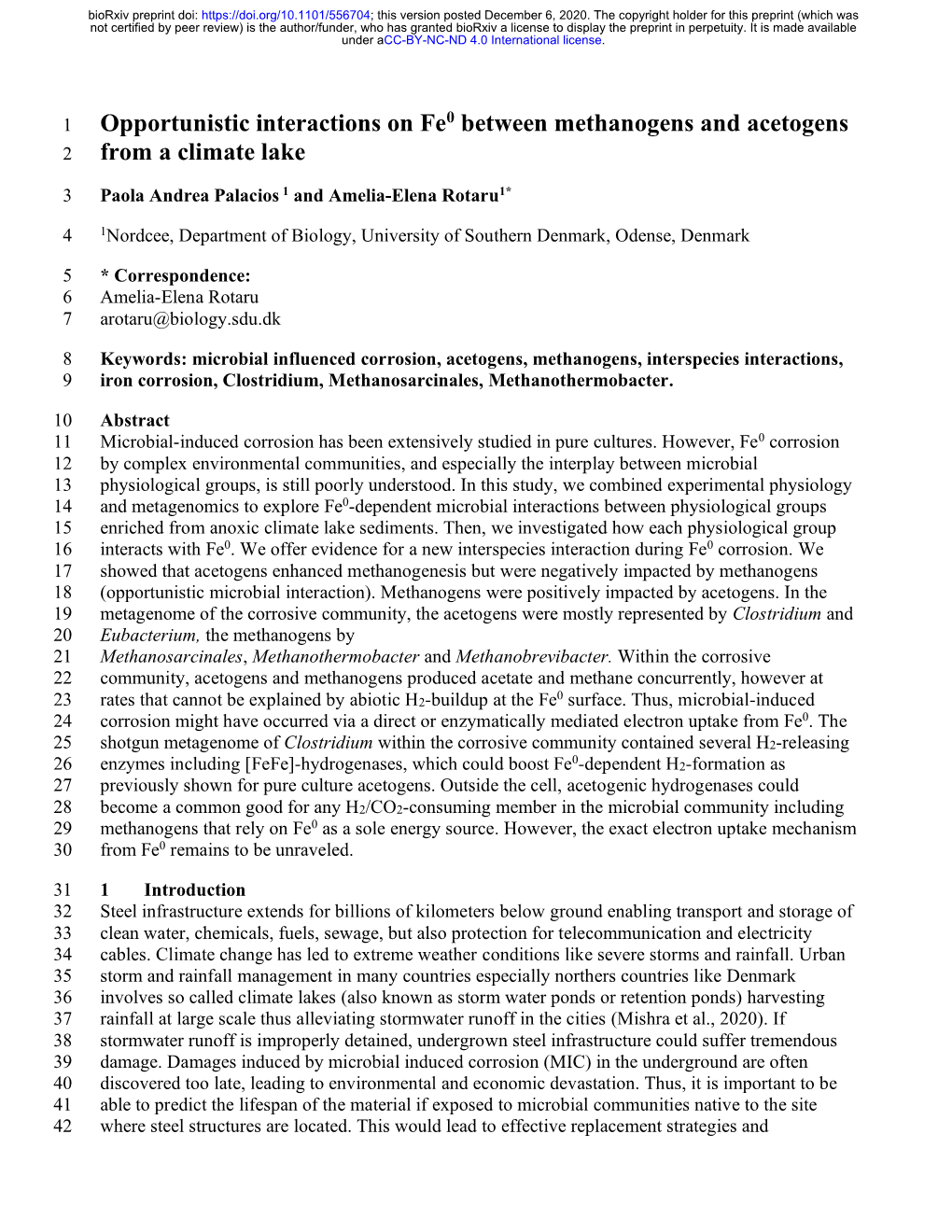 Opportunistic Interactions on Fe0 Between Methanogens and Acetogens 2 from a Climate Lake