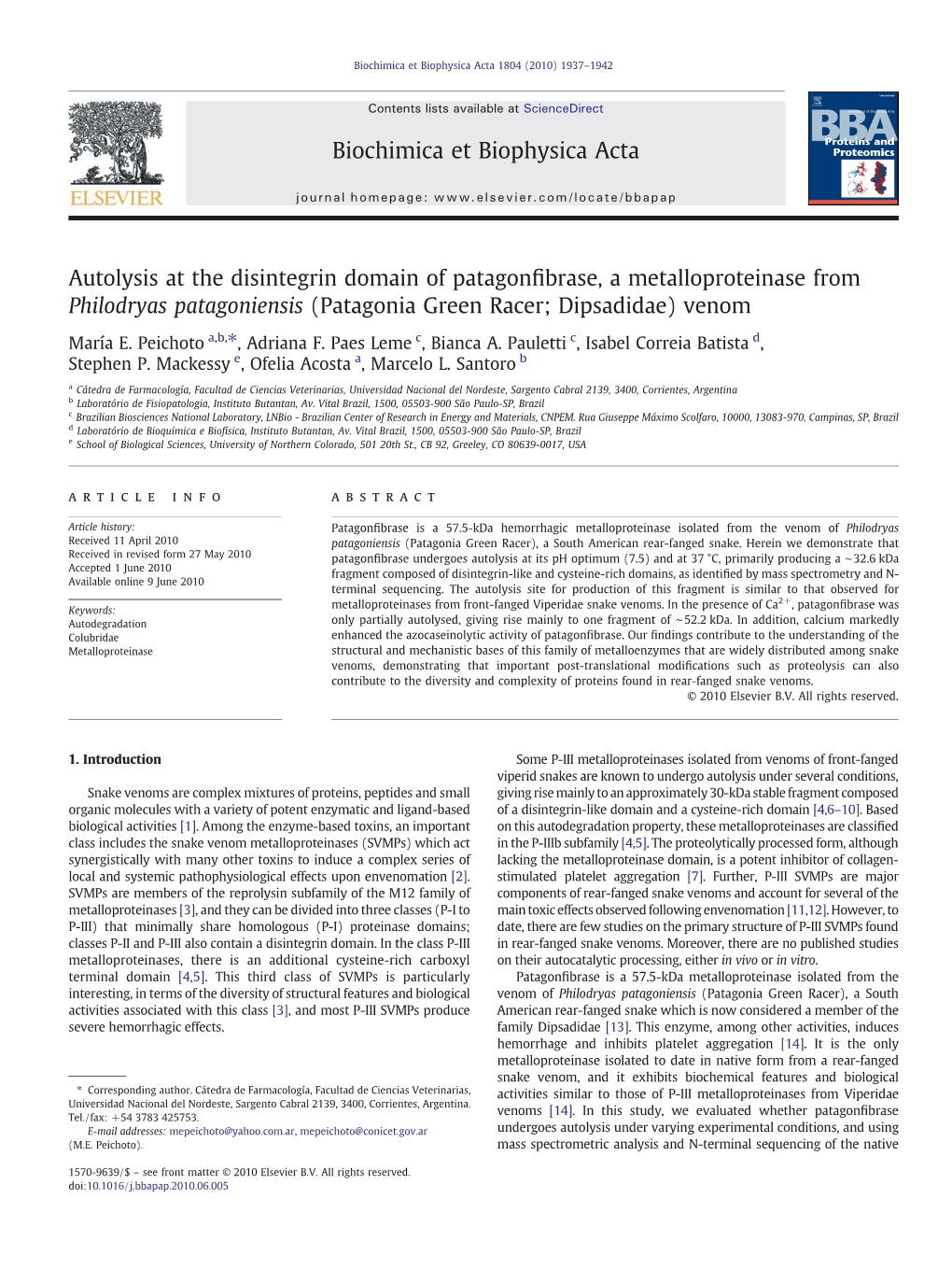 Autolysis at the Disintegrin Domain of Patagonﬁbrase, a Metalloproteinase from Philodryas Patagoniensis (Patagonia Green Racer; Dipsadidae) Venom