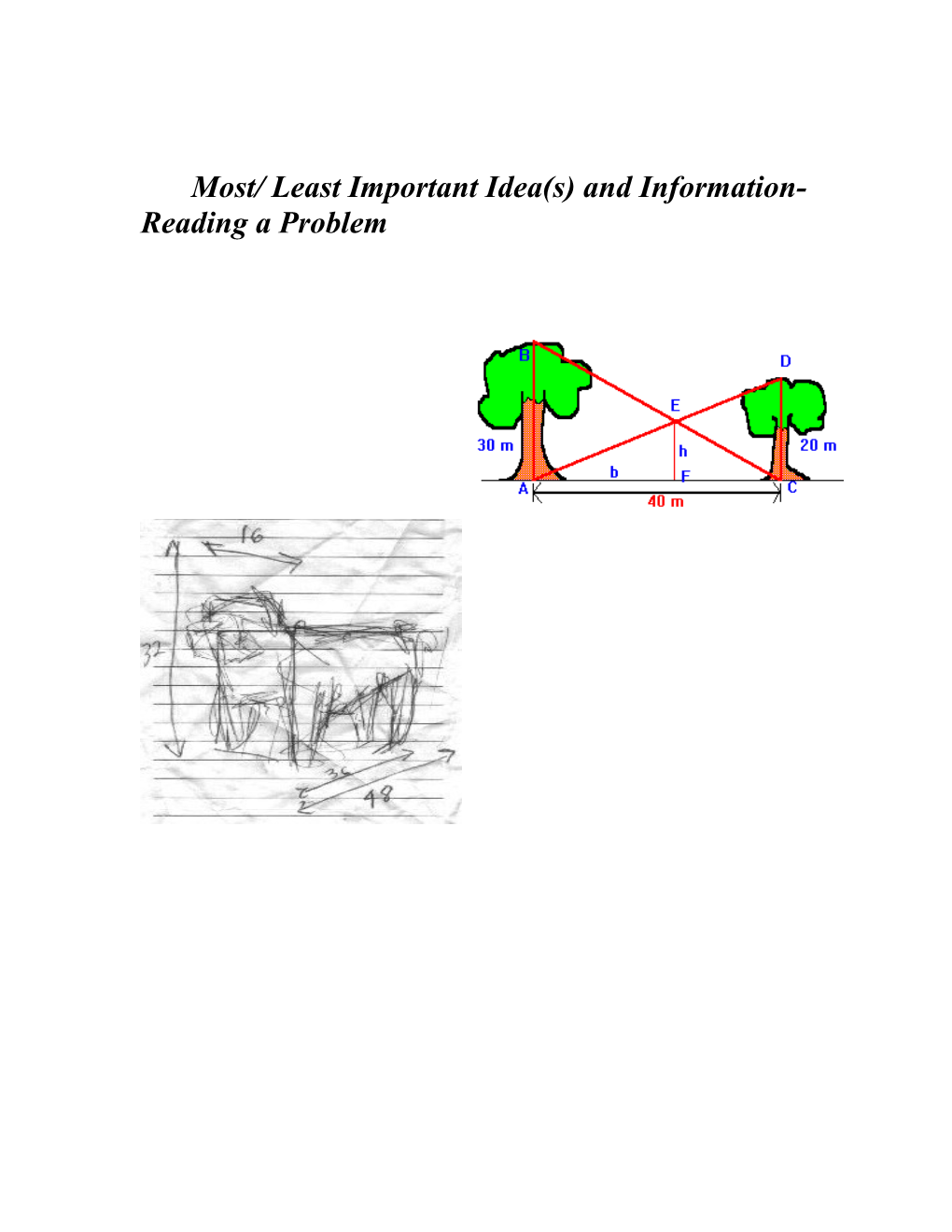 Most/ Least Important Idea(S) and Information- Reading a Problem