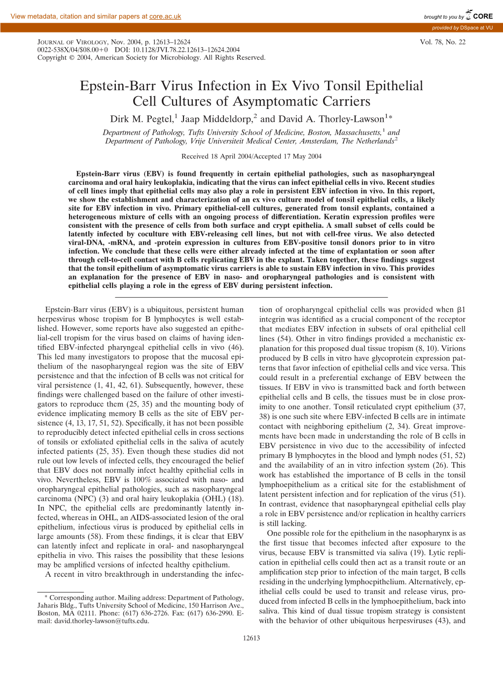 Epstein-Barr Virus Infection in Ex Vivo Tonsil Epithelial Cell Cultures of Asymptomatic Carriers Dirk M