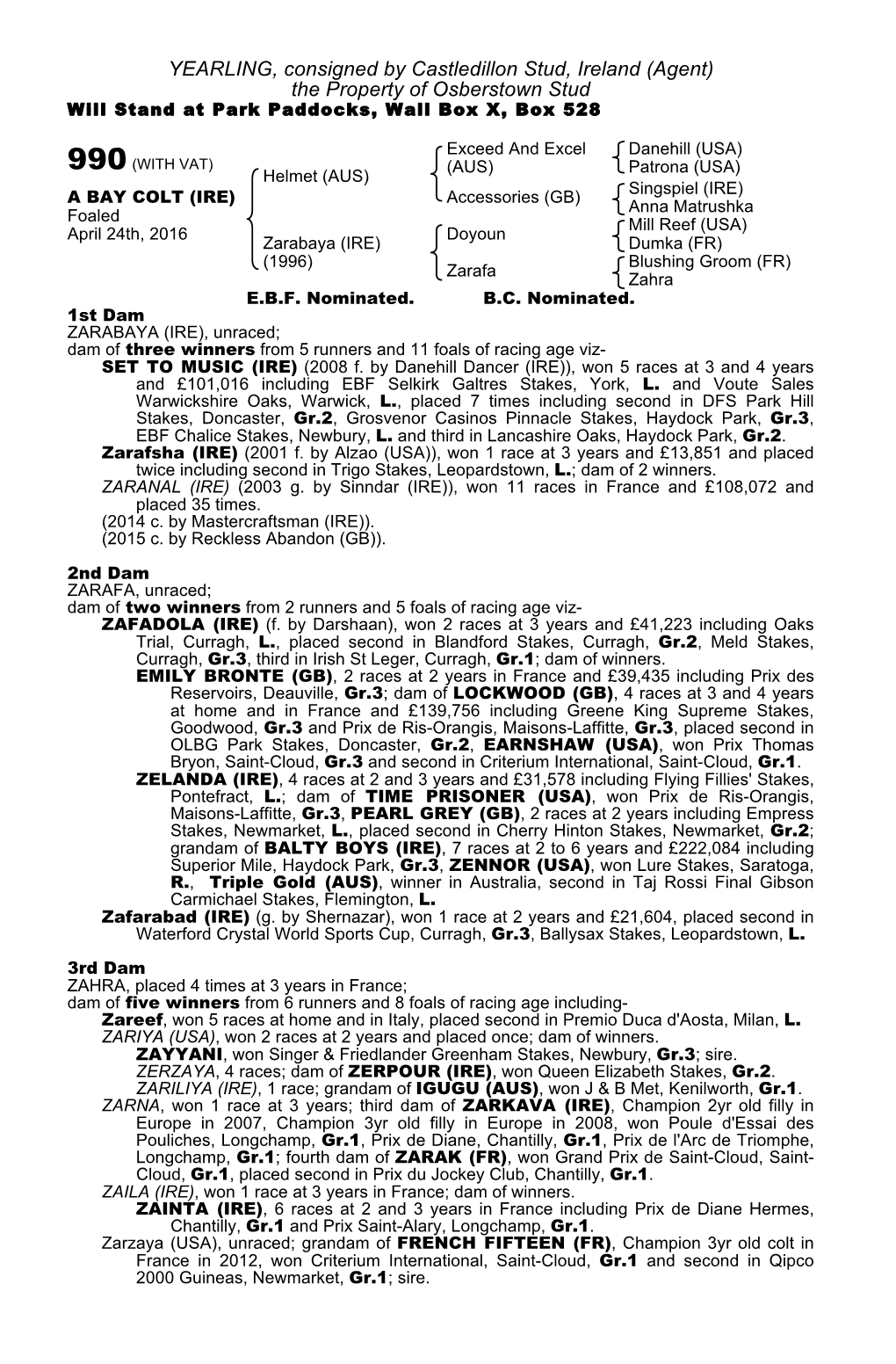 YEARLING, Consigned by Castledillon Stud, Ireland (Agent) the Property of Osberstown Stud Will Stand at Park Paddocks, Wall Box X, Box 528