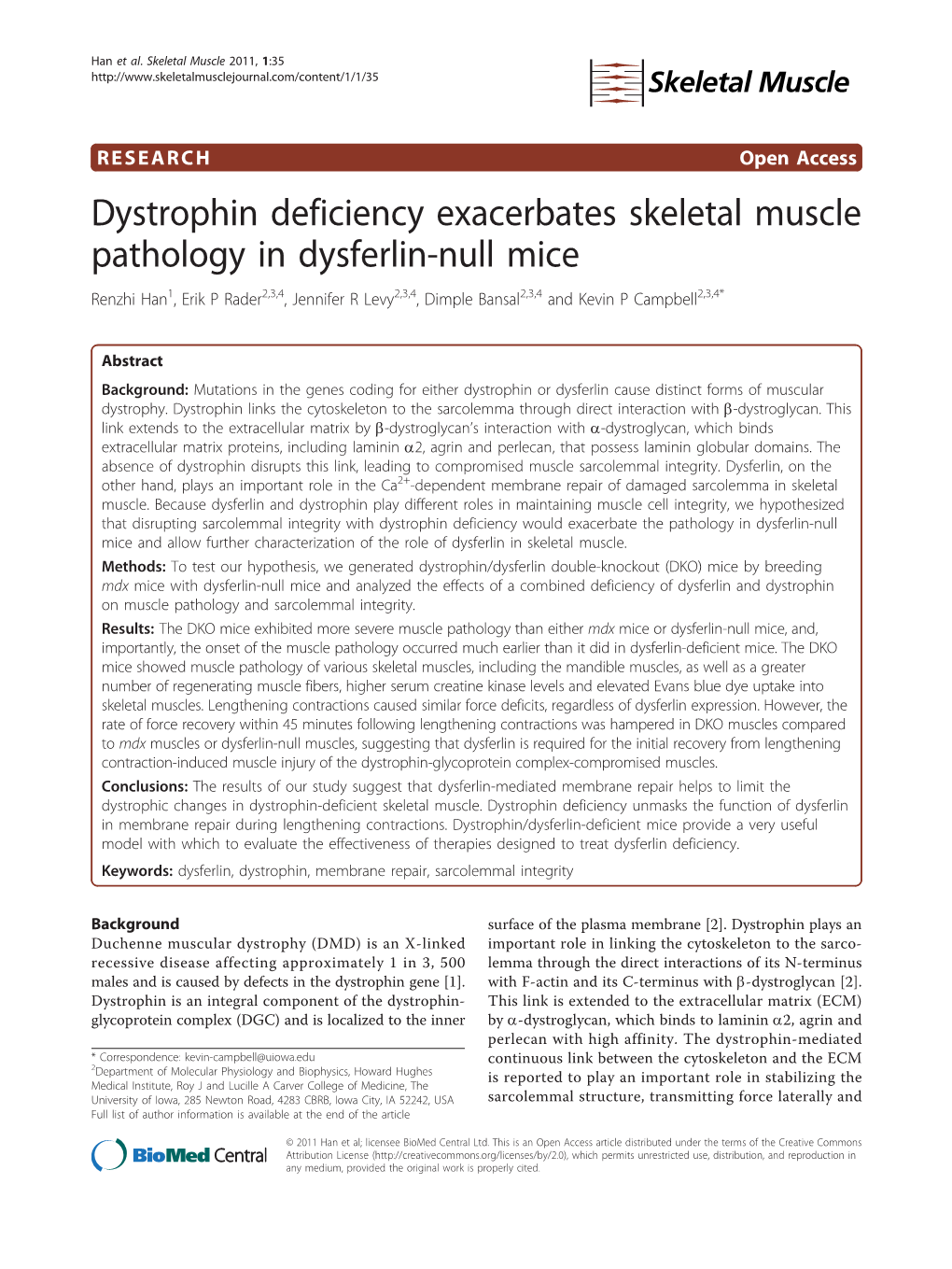 Dystrophin Deficiency Exacerbates Skeletal Muscle Pathology In