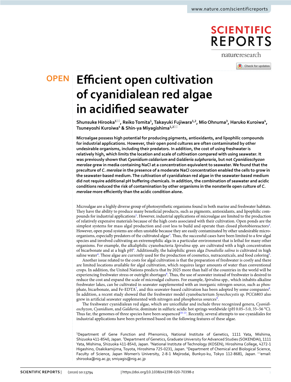 Efficient Open Cultivation of Cyanidialean Red Algae in Acidified