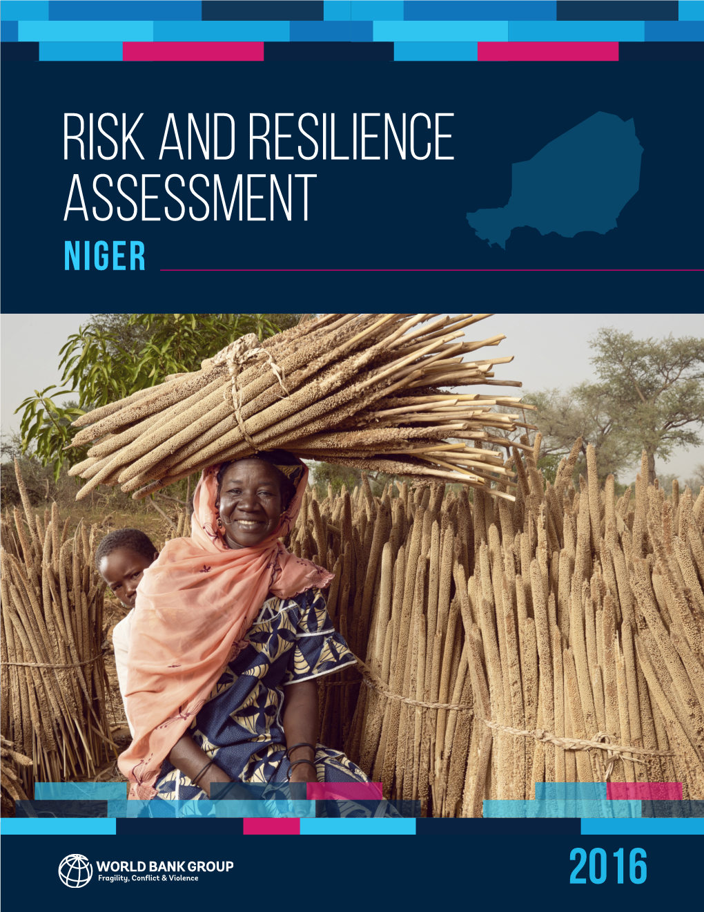 Risk and Resilience Assessment Niger