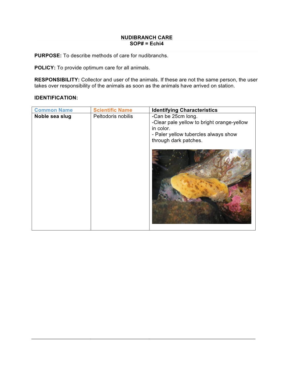 NUDIBRANCH CARE SOP# = Echi4 PURPOSE: to Describe Methods of Care for Nudibranchs. POLICY: to Provide Optimum Care for All Anim